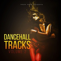 Dancehall Tracks Vol.2